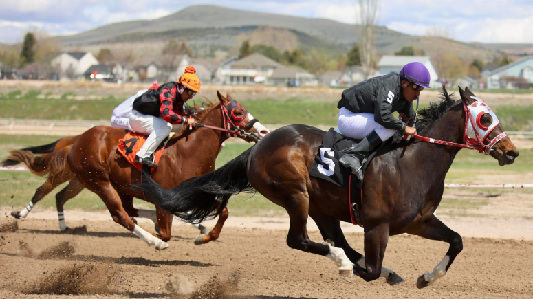 Pocatello Downs Horse Racing